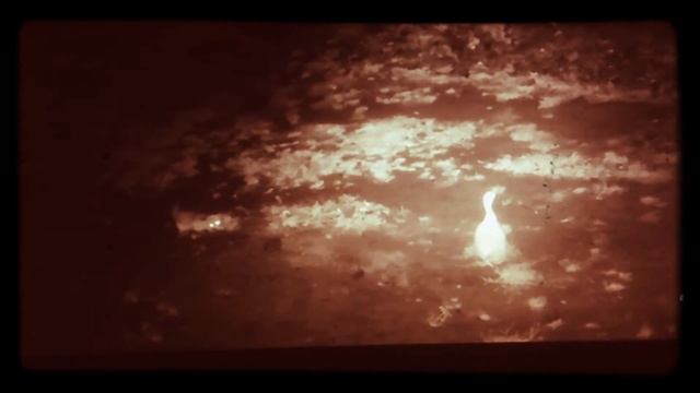 Лиса и гусь смотреть онлайн