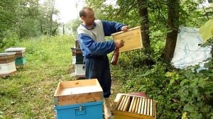 ставим второй корпус и подставляем  вощину