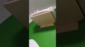 Котодром для двух пушистиков