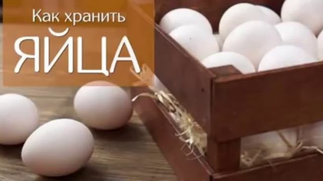 Ученые запрещают хранить яйца на дверце холодильника А где тогда смотреть онлайн
