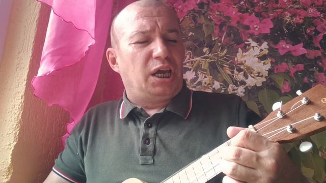 КИНО Звезда по имени Солнце кавер. ( cover )