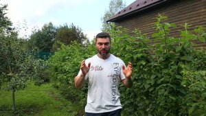 ПОСТАВЬ МАЛИНУ на МЕСТО! Шпалера для малины одноплоскостная