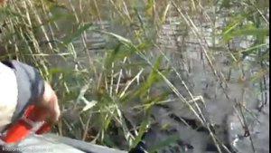 Удачная рыбалка. Костомукша. Озеро Кенто