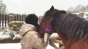 Зимние каникулы в конном лагере «КАЗАЧОК»