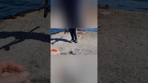 РЫБАЛКА! ПОЙМАЛ КРАБА НА УДОЧКУ! Ловим рыбу в Чёрном море.