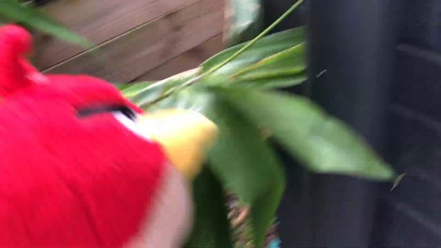 Angry birds Rio 2 movie смотреть онлайн