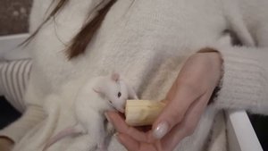 VLOG КРУТАЯ мусорка. Покупки в Эпицентре