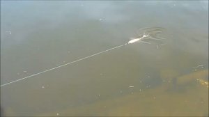 Jerkbaits дайверы Вubuka тесты, техника проводки джеркбейтов