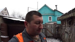 Содержание вьетнамских свиней + Куры( ответы на вопросы)