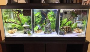 2. Аквариум своими руками. Как правильно сделать аквариум для петушков. П