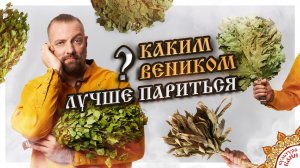 Каким веником лучше париться?