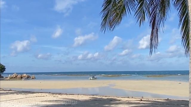 Узнав, что жены скоро не станет, муж завёл себе любовницу. А когда жена услышала по телефону... смотреть онлайн