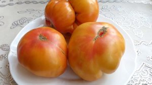 Червен Градински, Сердце Линнея темное,Хамелеон,Король кинг 2