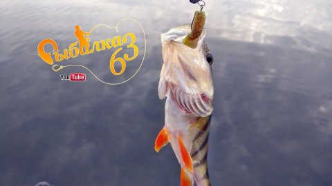 Окунь осенью на ультралайт, ловля окуня осенью