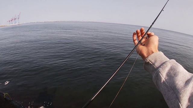 Ловля САРГАНА восени в Одесі 2023. Морська риболовля у Чорному морі 2023.