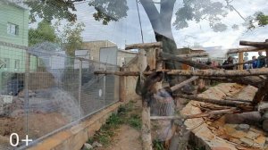 Диана в Ленинградском зоопарке для детей