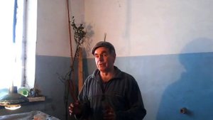 Как я  оптом продаю червя