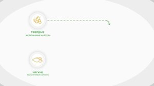 Этапы производства лекарственных средств в мягких и твердых желатиновых капсулах