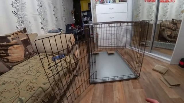 Клетка для собак. Воспитание щенка: С ЧЕГО НАЧАТЬ?