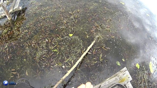 Ловля КРУПНОГО КАРАСЯ на вечерней зорьке на ПОПЛАВОК. Ловля на глухую оснастку с ПОПЛАВКОМ на МАХ смотреть онлайн