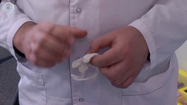 Центр спортивной медицины могут построить в Новосибирске смотреть онлайн