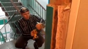 Сабельная пила Dewalt DCS380B. Reciprocating saw Dewalt DCS380B