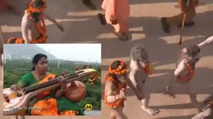 Veena  Игра на вине