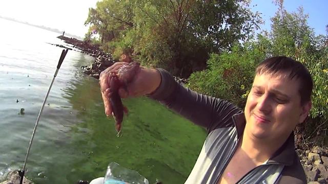 Рыбалка на Днепре Фидером смотреть онлайн