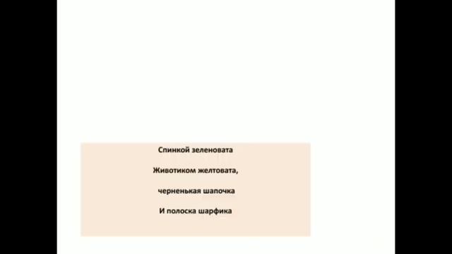 Зимующие птицы. смотреть онлайн