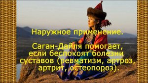 Саган Дайля что это, польза и вред, рецепты.