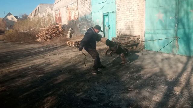 Обучение техники давления, атаки, дай!