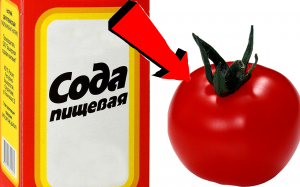 Как подкормить помидоры За 3 Секунды!