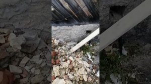 Леса армянские готов.