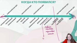 ЭРЫ И ПЕРИОДЫ