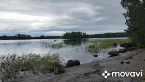 Вуокса. Июль 2019. Остров. База Большие камни.