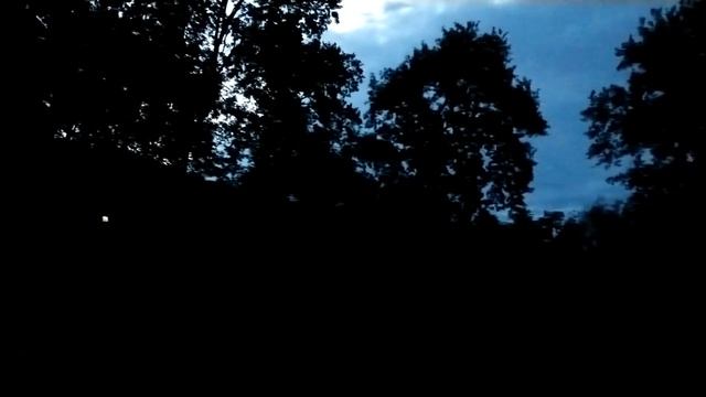 Звуки ночного леса. смотреть онлайн