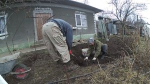 Борьба с ландышем || Цветок который невозможно уничтожить