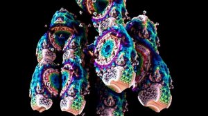 Фрактальные метаморфозы