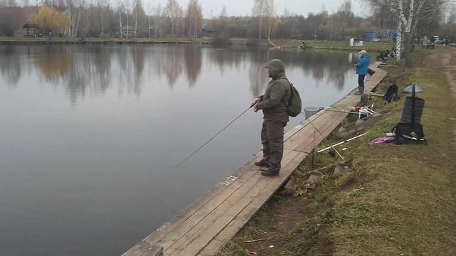 Ловим форель РК "ФИШКА" ПЕТРЯИХА. смотреть онлайн