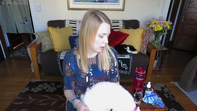 How to Clean a Clarinet (and keep it that way!) | Is Peroxide OK?? смотреть онлайн