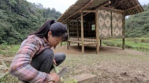 Linh's Life: 7 days Completing the bamboo house | Build a new life