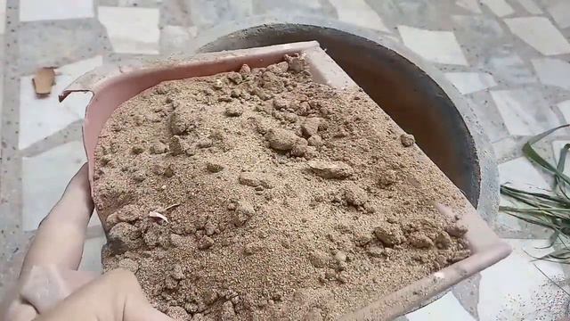ऐसे करे गमले तैयार/How to prepare a pot/गमले भरने का सही तरीका смотреть онлайн