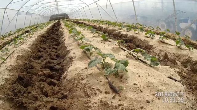 мелиорация почвы в теплице путем профилирования. смотреть онлайн