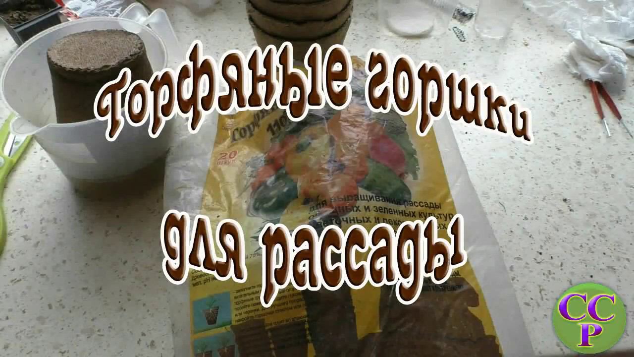 ВНИМАНИЕ! Торфяной горшок для рассады. Мои наблюдения