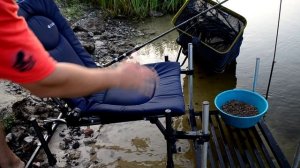 Резвый клев белой!!! Рыбалка с ночевкой на Фидер. Новое кресло, катушка и шнур