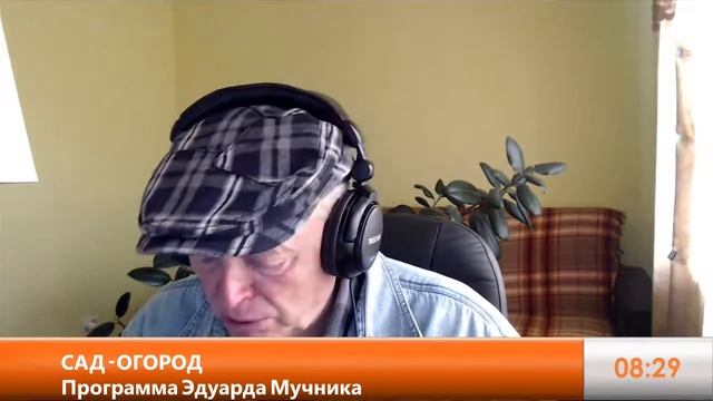 Дача в Америке. Как бороться с белокрылкой;  яичная скорлупа в огороде. 17 апреля 2022 г.