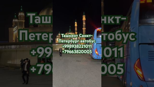 Ташкент Санкт-Петербург Автобус #автобус #москва #прямой #рейс #россия #ташкент #узбекистан