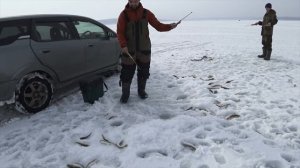 Зимняя рыбалка 2021, рыба валит, рыбак кайфует. Fishing