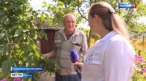 Житель деревни Козляки рассказал, как вырастить в нашем регионе персики и абрикосы