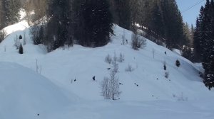 BANNALP - FELL - WIDDEREN (SWISS) 25.01.2017